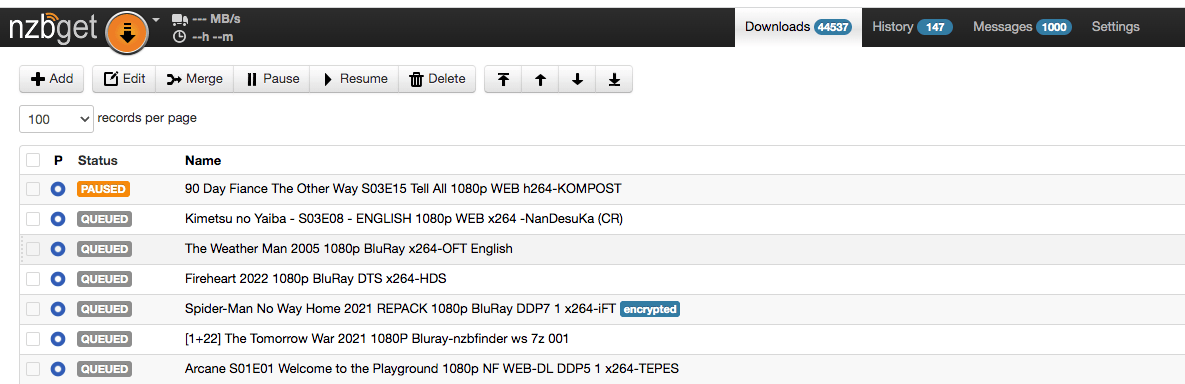 NZBGet interface showing default appearance before theme application